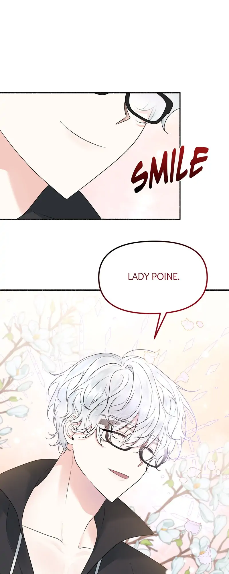 32997684 800 2000 64896