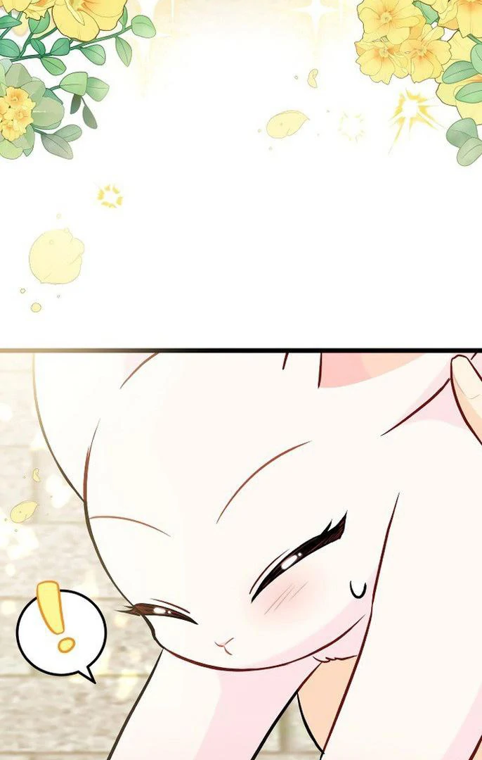 76469965 686 1080 57734